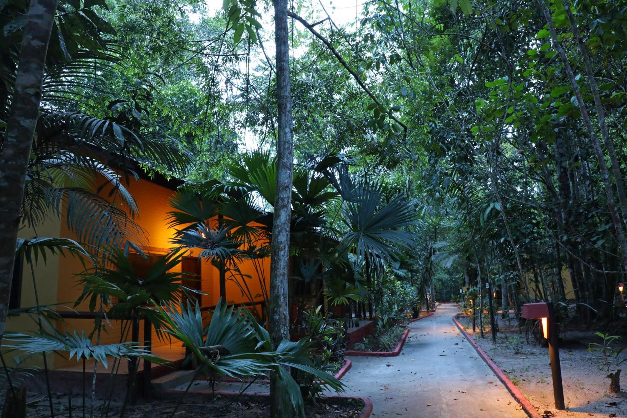 Amazon Ecopark Jungle Lodge Манаус Екстер'єр фото